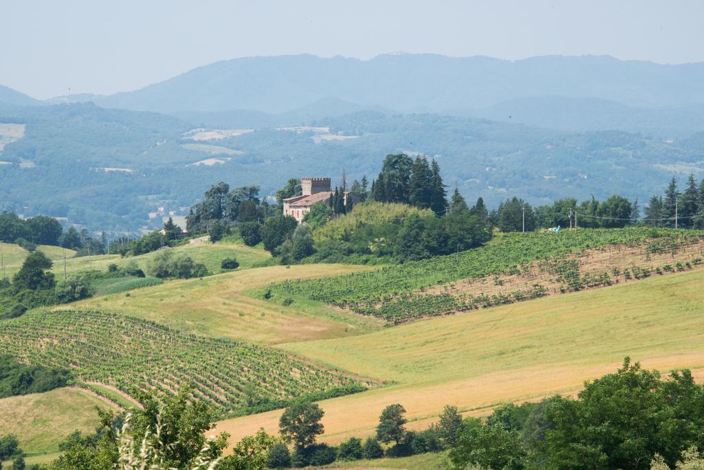 Agriresort & Spa Fattoria I Ricci Vicchio Exteriér fotografie